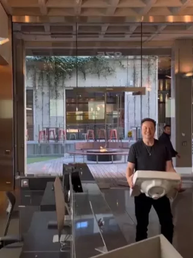 Elon Musk owned Twitter