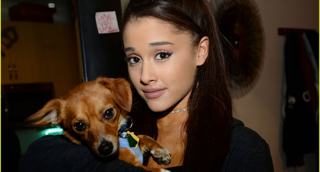 Ariana Grande Dogs Ariana Grande Dogs