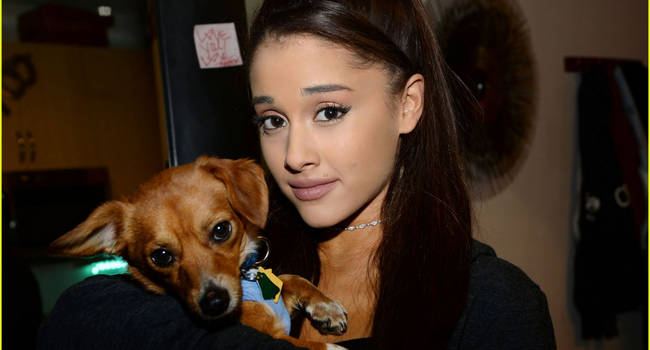 Ariana Grande Dogs