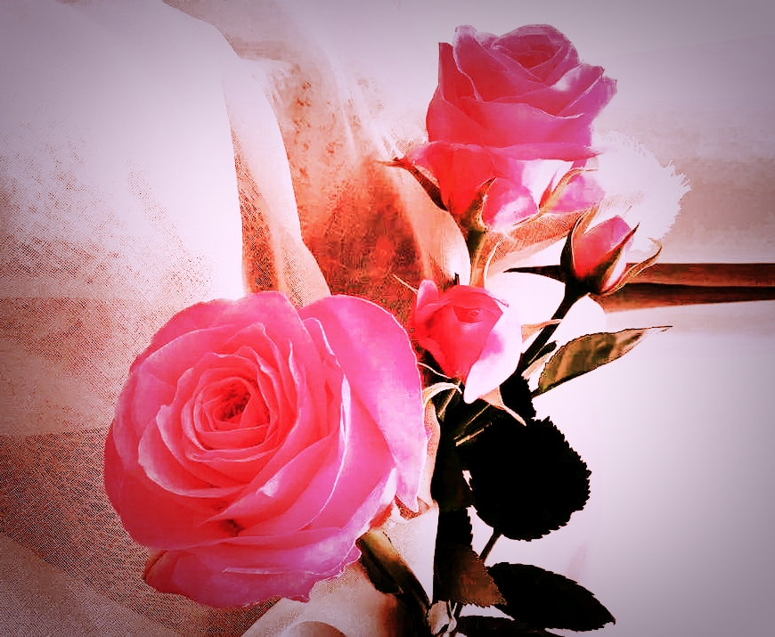 Valentine'day, week, list 2023