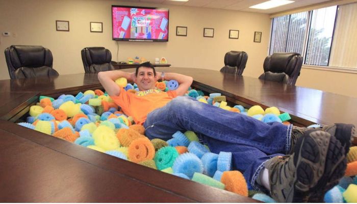 Scrub Daddy Net Worth Scrub Daddy Net Worth