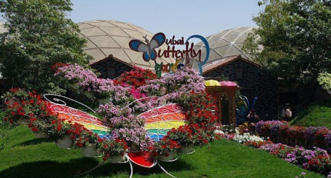 Visit the Butterfly Garden, Dubai