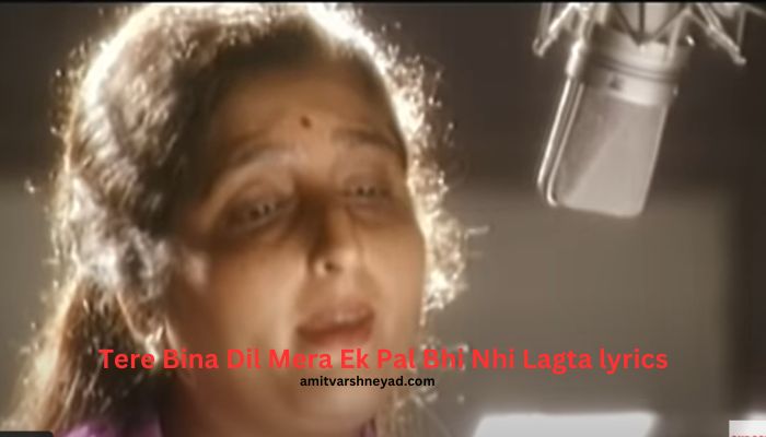 Tere Bina Dil Mera Ek Pal Bhi Nhi Lagta lyrics